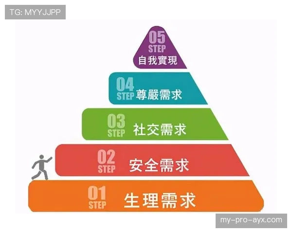 边线规则全面拆解：何时算出界，裁判如何精准判定？